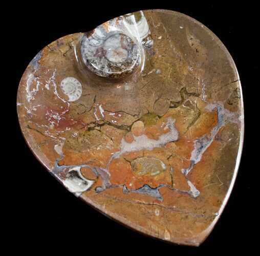 Heart Shaped Fossil Goniatite Dish #8855